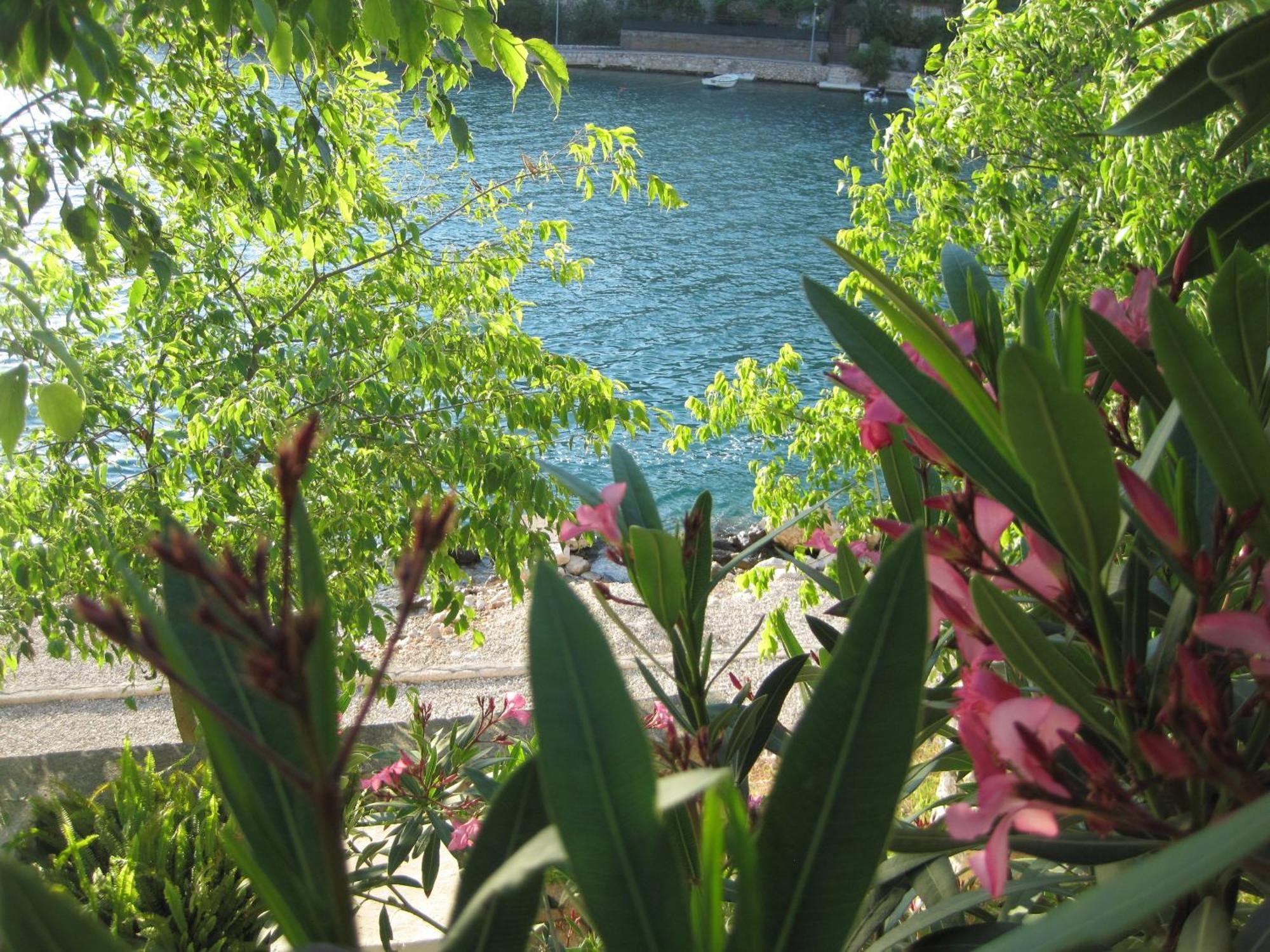 Villa Obad Guest House Neum Εξωτερικό φωτογραφία